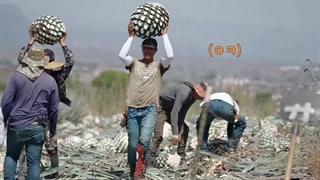 قسمت هفتم برنامه تلویزیونی اسم من گابریله ( My name is Gabriel 2024 ) با حضور پارک بوگوم، جی چانگ ووک،کیم جنی + زیرنویس کپشن