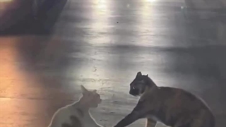 وقتی عشق واقعیت همه جا دست تو داره