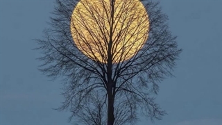 آهنگ جدید میتی دیپ وقتی رفتی + Meytideepe