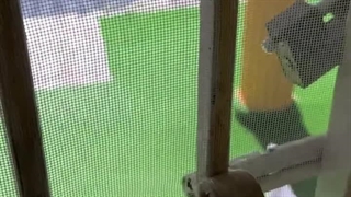 بنده خدا رو کشتن 