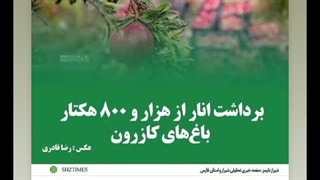 اخبار خودرو