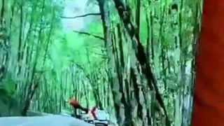 اجاره و اجرا و راه اندازی تلویزیون های شهری در سراسر کشور