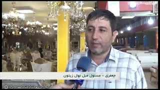 بازار مبل نهال زیتون در شبکه استانی قم