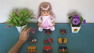 Emotions - Sentiments - Couleurs