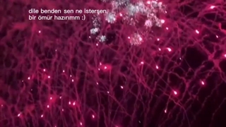 مورد علاقم>>>>>