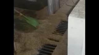کارخانه برنجکوبی عدالت در رودبنه