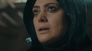 سریال هشت پا