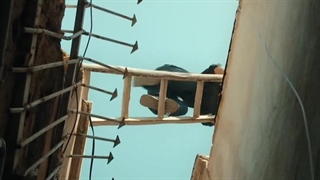 دانلودرایگان سریال هشت پا