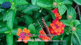 دین عامل سعادت جوانان(آیت الله العظمی مظاهری)