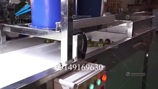 نوار نقاله دستچین میوه