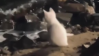 This kind of vibe>>>>>