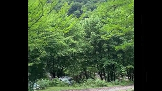 خاویار میراث