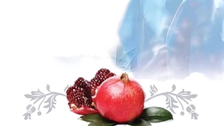 استوری موشن چیست ؟ سفارش ساخت استوری موشن روز پرستار | خدمات تولید محتوا اینستاگرام بیاسا