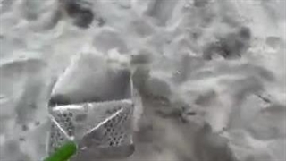 اکوناکس ۹۰۰