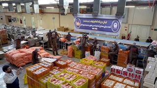 لبنان در پناه امام رئوف(ع)