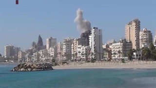 پایداری صور
