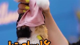 مدت زمان ضبط دوربین مداربسته