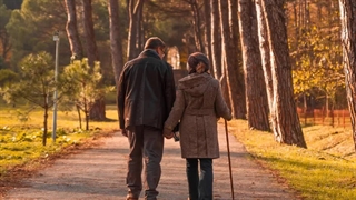 ?What qualities do you admire in a partner