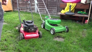 مهم ترین تفاوت های علف زن دو زمانه و چهار زمانه