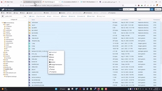 ایمن ترین و بهترین روش بکاپ گیری در وردپرس - Wordpress Backup