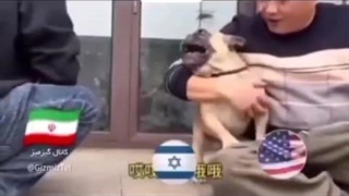 جالب و واقعی ^^