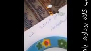 جیوه نقره ای ..کلاه برداری