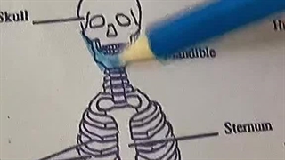 وقتی عاشق هنری ولی به اصرار خانوادت میری تجربی........