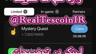 آموزش گرفتن تسک 7 هزار Mystery Quest paws 