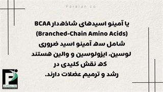 بی سی ای ای چیست؟