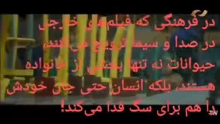 فدا کردن جان خود برای یک سگ در شبکه نمایش!