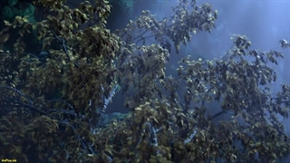 انیمه مسیری به سوی آسمان (The Path Toward Heaven (Dadao Chaotian قسمت 9