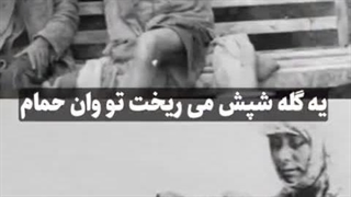 شپش در انگلیس