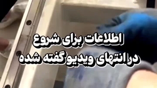 تولید شلنگ یکبار مصرف قلیان 09125931997