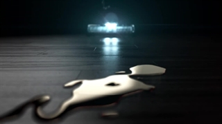 جاروبرقی سه کاره بیسل crosswave hydrosteam