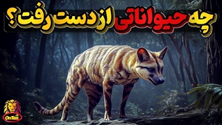 حیوانات بی نظیری که در سالهای اخیر نابود و منقرض کردیم