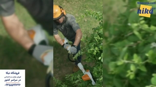 شمشاد زن دیانا - نیکاکورپ