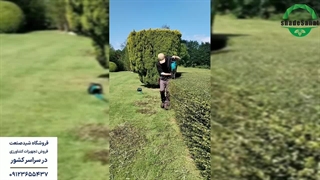 چگونه از شمشاد زن استفاده کنیم؟ شید صنعت