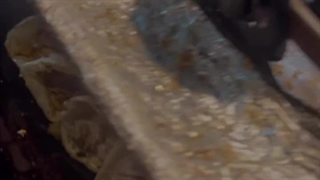 شاورما بپ گپو قشم یکی از پرفروش ترین شاورما قشم است.