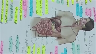 تدریس انلاین زیست و ژنتیک محشر کنکوری ترکیبی مدرس ونوس غیاثی 09149285452