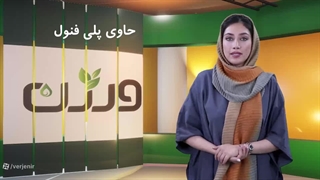 فواید روغن زیتون برای سلامتی + بررسی قیمت روغن زیتون