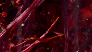 چار حد یک گرمی زعفران کبیری