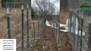 نصب نایلون گلخانه