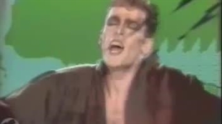 آهنگ خاطره انگیز Tarzan boy