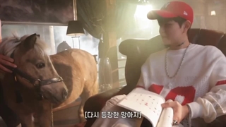 ترجمه کپشن .... انگار اسبه از همه تنفر داشت بخدا ....