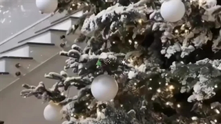 ⋆ ˚｡⋆୨merry Christmas୧⋆ ˚｡⋆