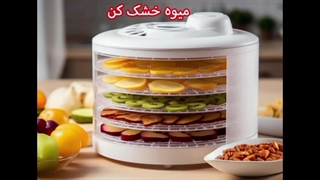 بررسی مدلهای میوه خشک کن