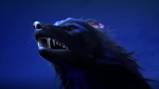 انیمه افسانه ارباب آسمان (The Legend of Sky Lord (Shen Wu Tianzun قسمت 15