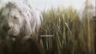 انیمیشن موفاسا: شیر شاه Mufasa: The Lion King