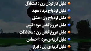 مرد و زن هیچ فرقی با هم ندارند