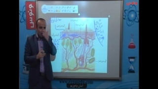 تدریس انلاین زیست و ژنتیک محشر کنکوری ترکیبی مدرس ونوس غیاثی 09149285452